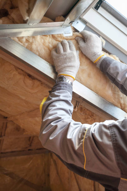 Best Attic Insulation Installation  in Riesel, TX