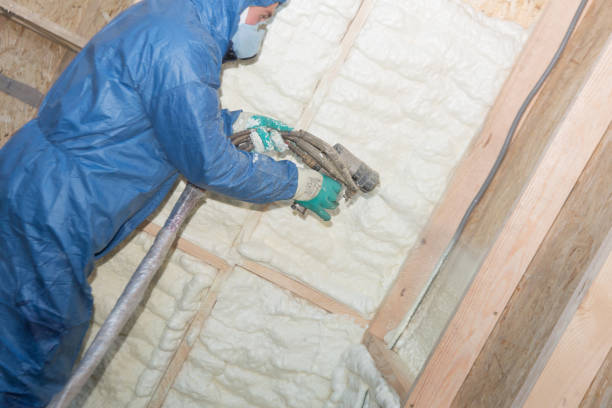 Best Crawl Space Insulation  in Riesel, TX